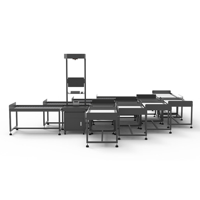 8-портовая сортировочная машина со статическим измерением посылок DWS |Логистическое оборудование для сортировки посылок